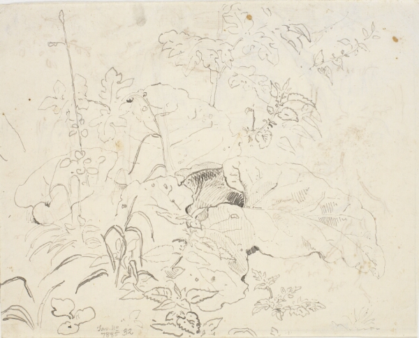 Dankvart Dreyer, Bladstudier