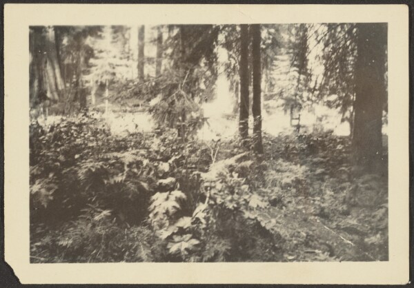 Louis Fleckenstein, [Landscape]