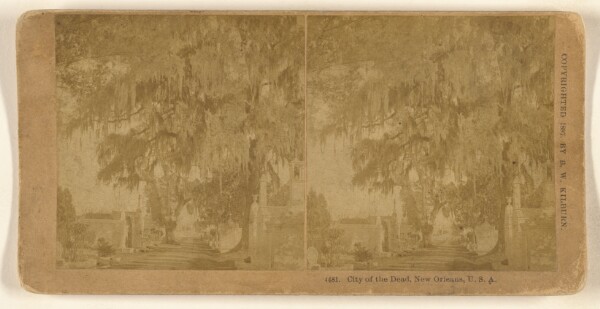 Benjamin West Kilburn, City of the Dead, New Orleans, U.S.A.