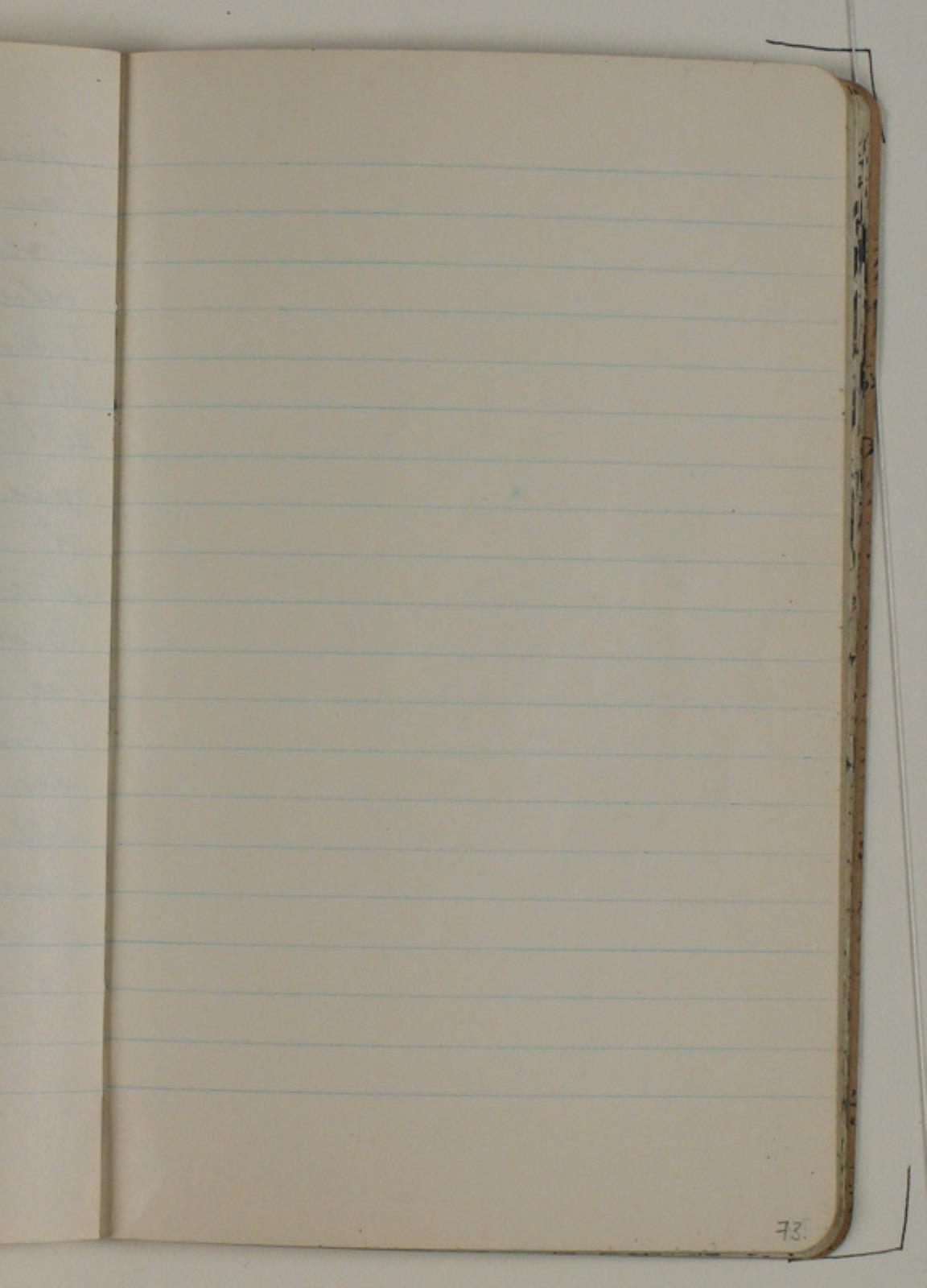Niels Larsen Stevns, Blank