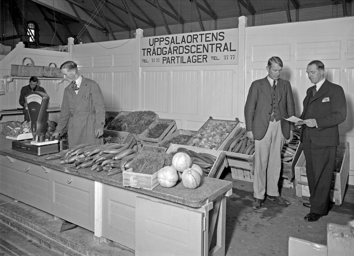Paul Sandberg, The Garden Centre of the Upper Town Hall Association u. p. a. has opened “party teams” in Saluhallen. On the right the chairman of the board of the garden director Manne Blomquist and disponent Axel Karlberg