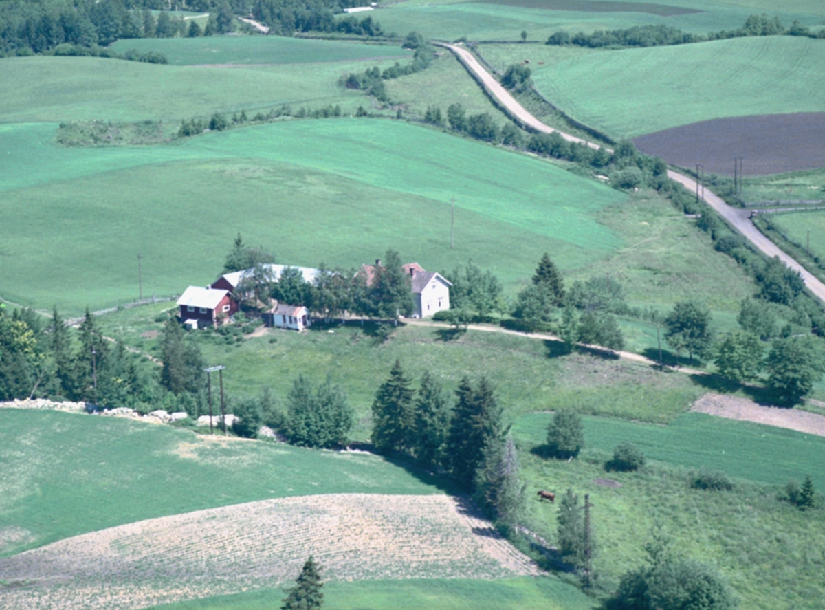 Widerøes Flyveselskap A/S, Flyfoto, Løten. Risengbakken (Gnr 0415-118/4). Holengutua 14