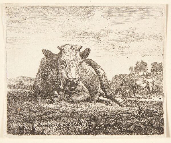 Adriaen van de Velde, Liggende ko