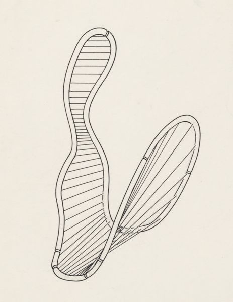 J Tinkelenberg, Sensory organs on an embryo