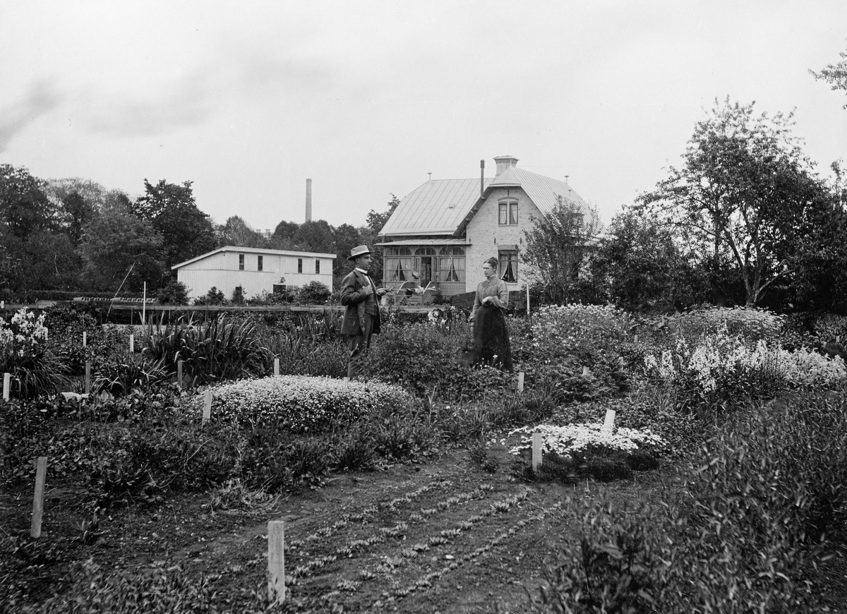 Okänd,, Stadsträdgårdsmästare Kjellström med fru, Stadsträdgården, Uppsala, i början på 1900-talet