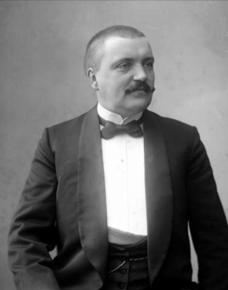 Gustav Borgen, Portrett, grosserer Hjalmar Løwlie.