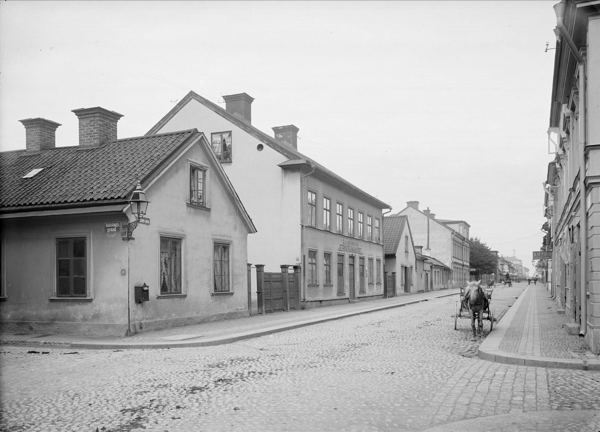 Alfred Dahlgren, The King Bedside Street - Cabbage Bound, The Royal Bed in Uppsala 1901 - 1902