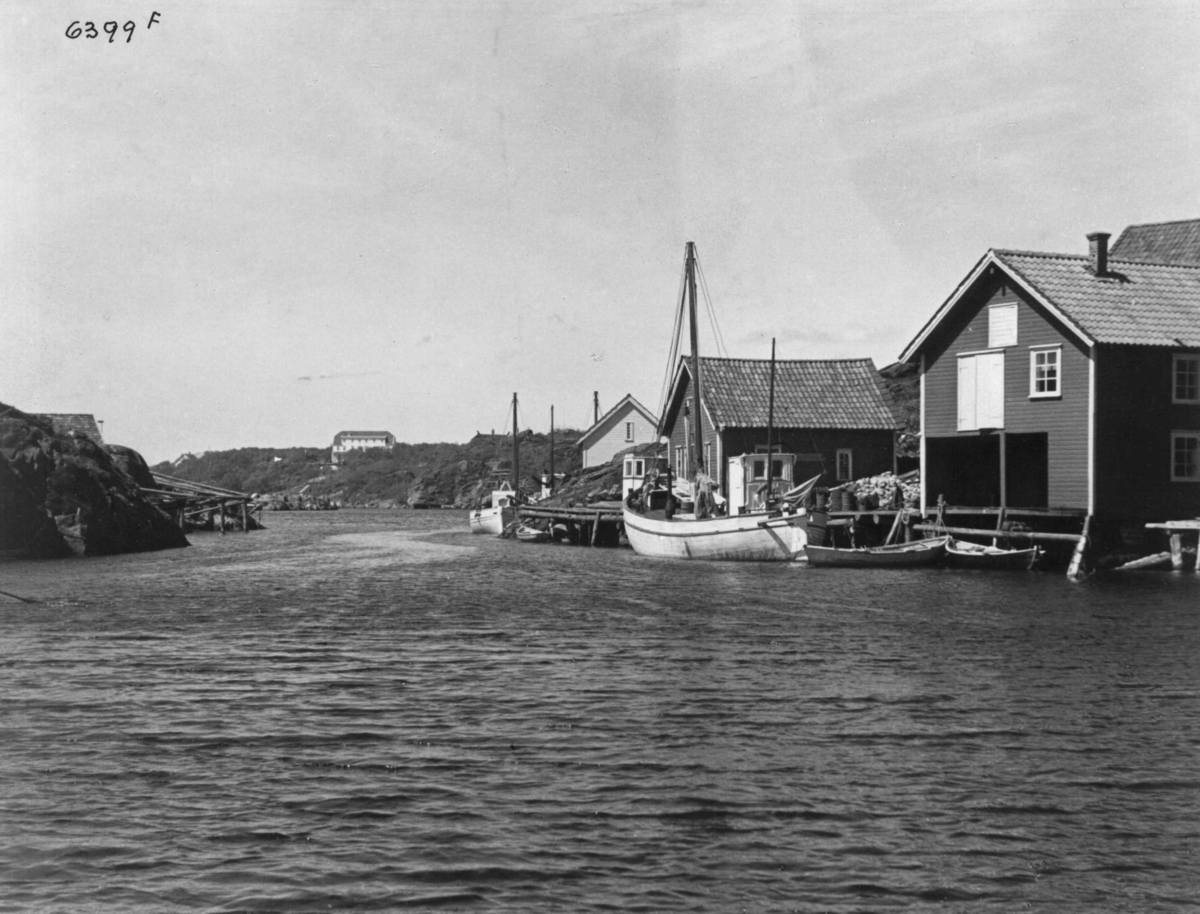Anders Beer Wilse, Wilse original, Fiske