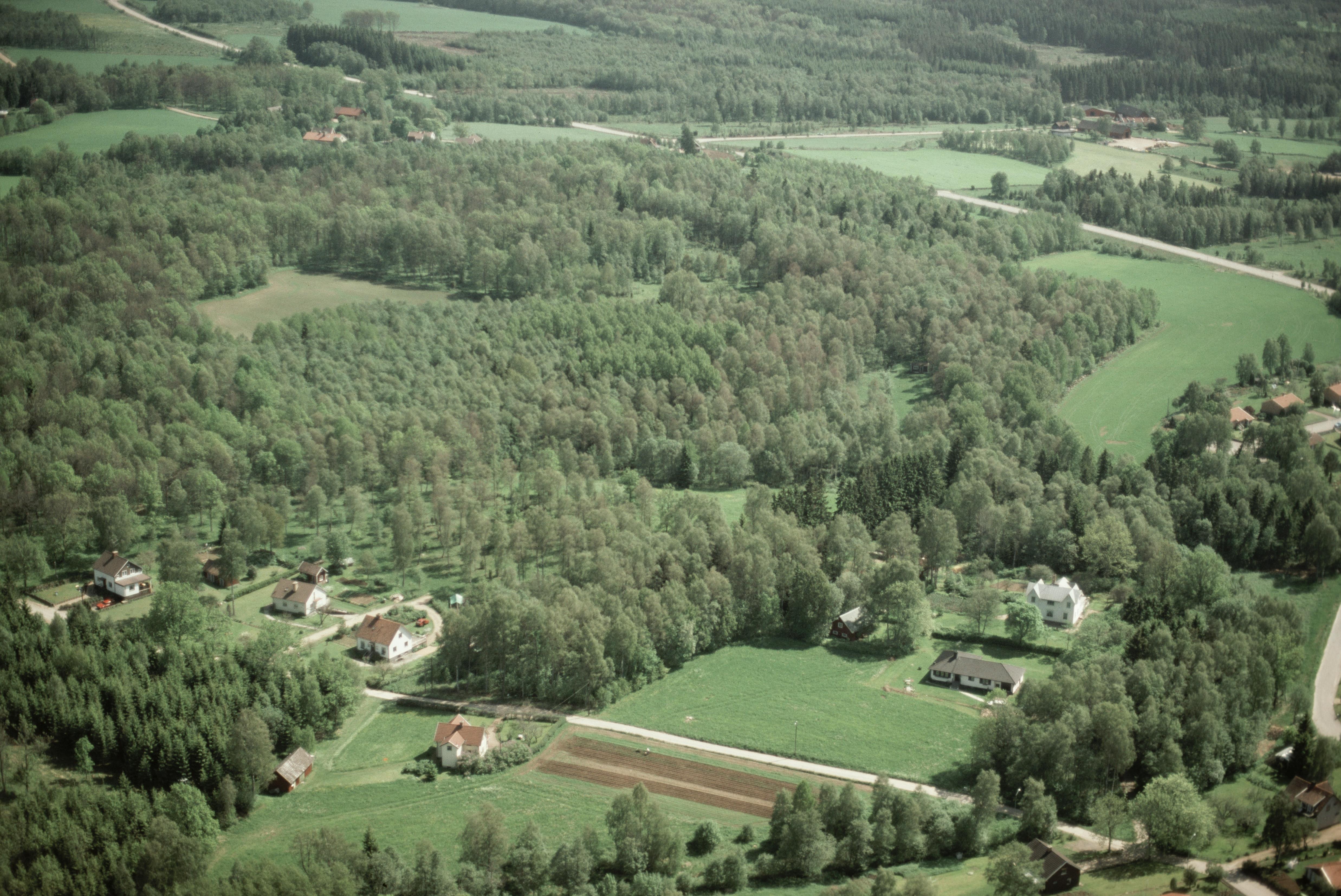 Jan Norrman, Hov 35:1
