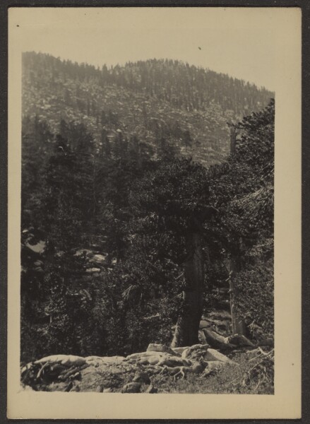 Louis Fleckenstein, [Jean Peak from Trail]