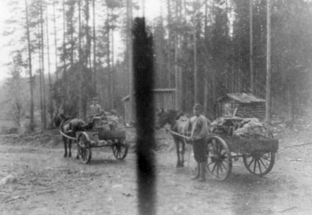 Anno Domkirkeodden, 2 HESTER MED KJERRER, OPPAKNING, SETERREISE TUR FRA BUSVOLDSETRA, , BUSVOLD,