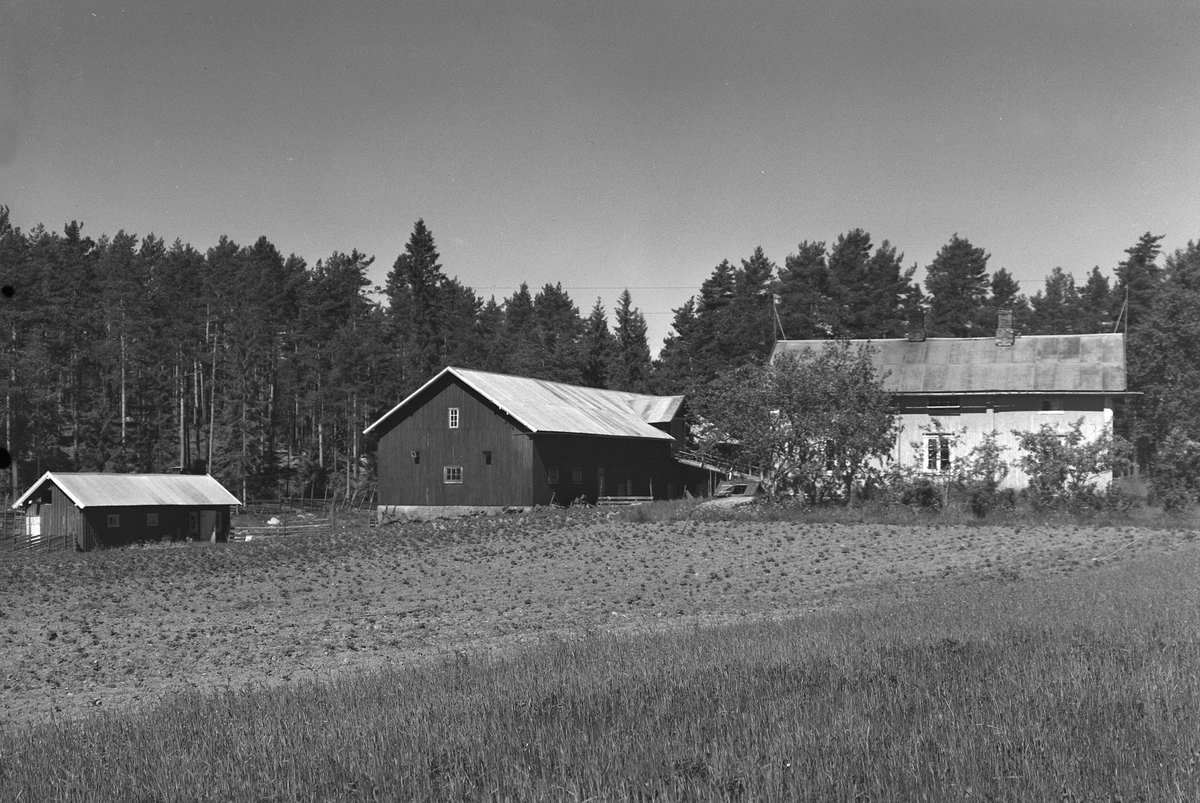 Anno Domkirkeodden, EKSTR: GARDSTUN, STUBBERRUD, LØTEN. Se Løtenboka, bind 3. Bygdeboka fra 1955, side 882