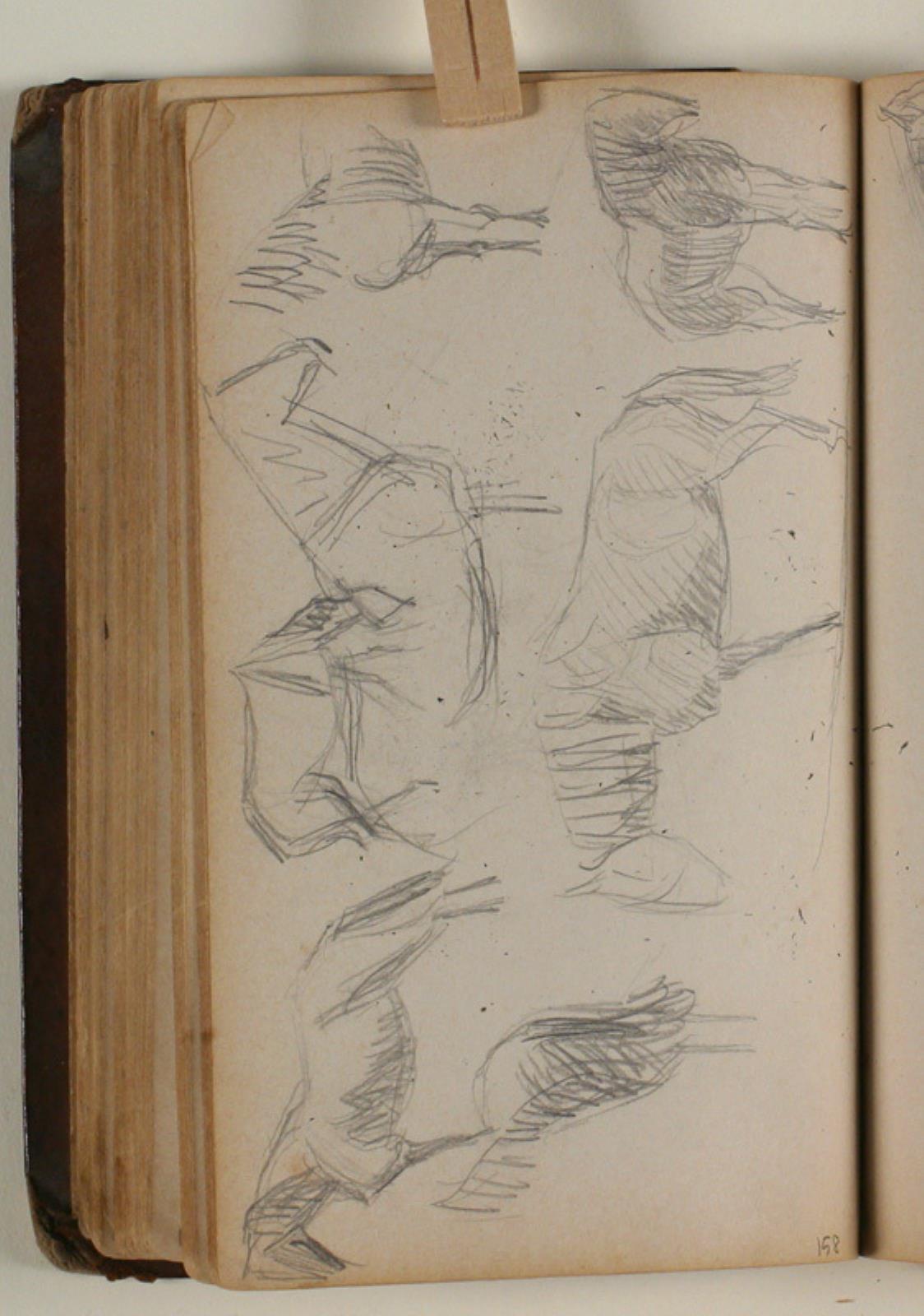 Niels Larsen Stevns, Studier af heste