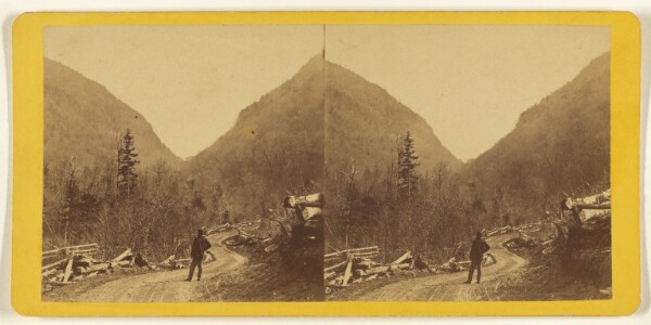 Edward and Henry T. Anthony & Co., The Glens of the Catskills. Entrance from the North to Stony Clove Notch.