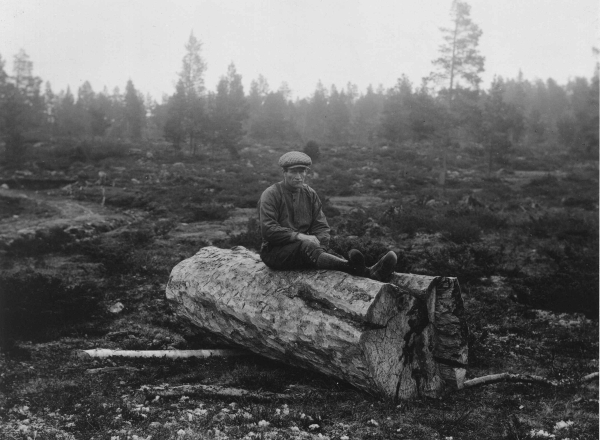 Anders Beer Wilse, Furustokk