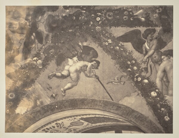 Unknown, [Fresco of Putto with attributes of Neptune by Raphael and his workshop in Villa Farnesina]
