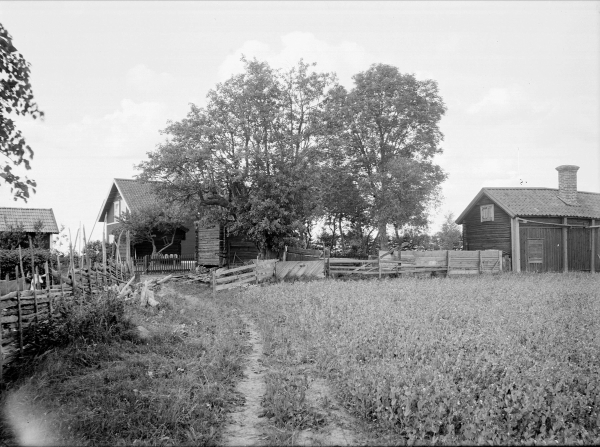 Paul Sandberg, The Archdiocese - now at the Open-Air Museum Disagården - in its original place in Grimsta, the parish of Engeluna, Uppland