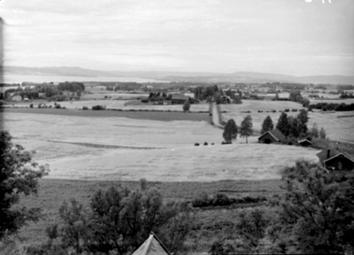 Anno Domkirkeodden, UTSIKT FRA STANGE KIRKE MOT NORD