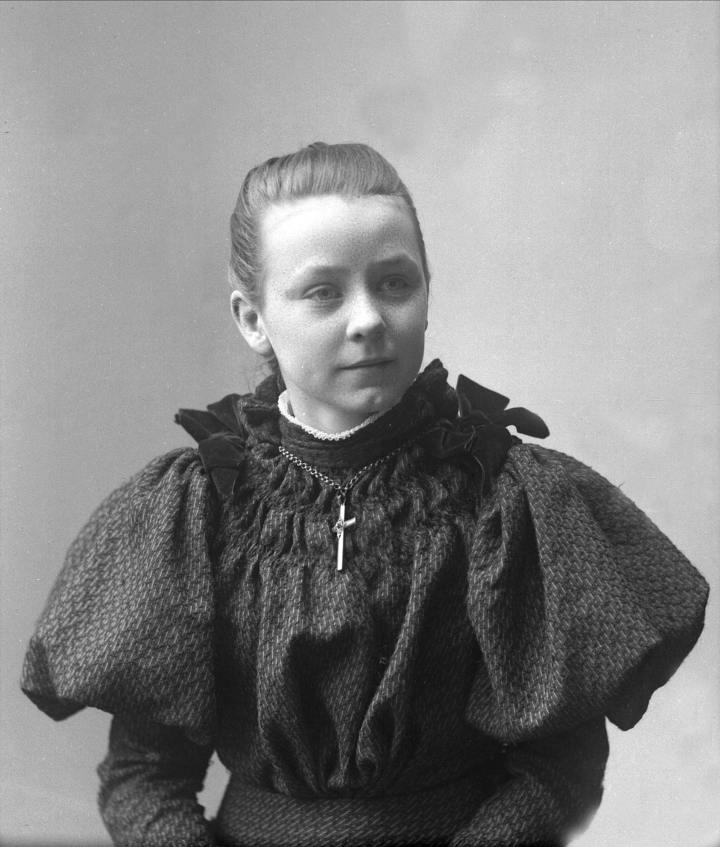 Gustav Borgen, NFB.30088