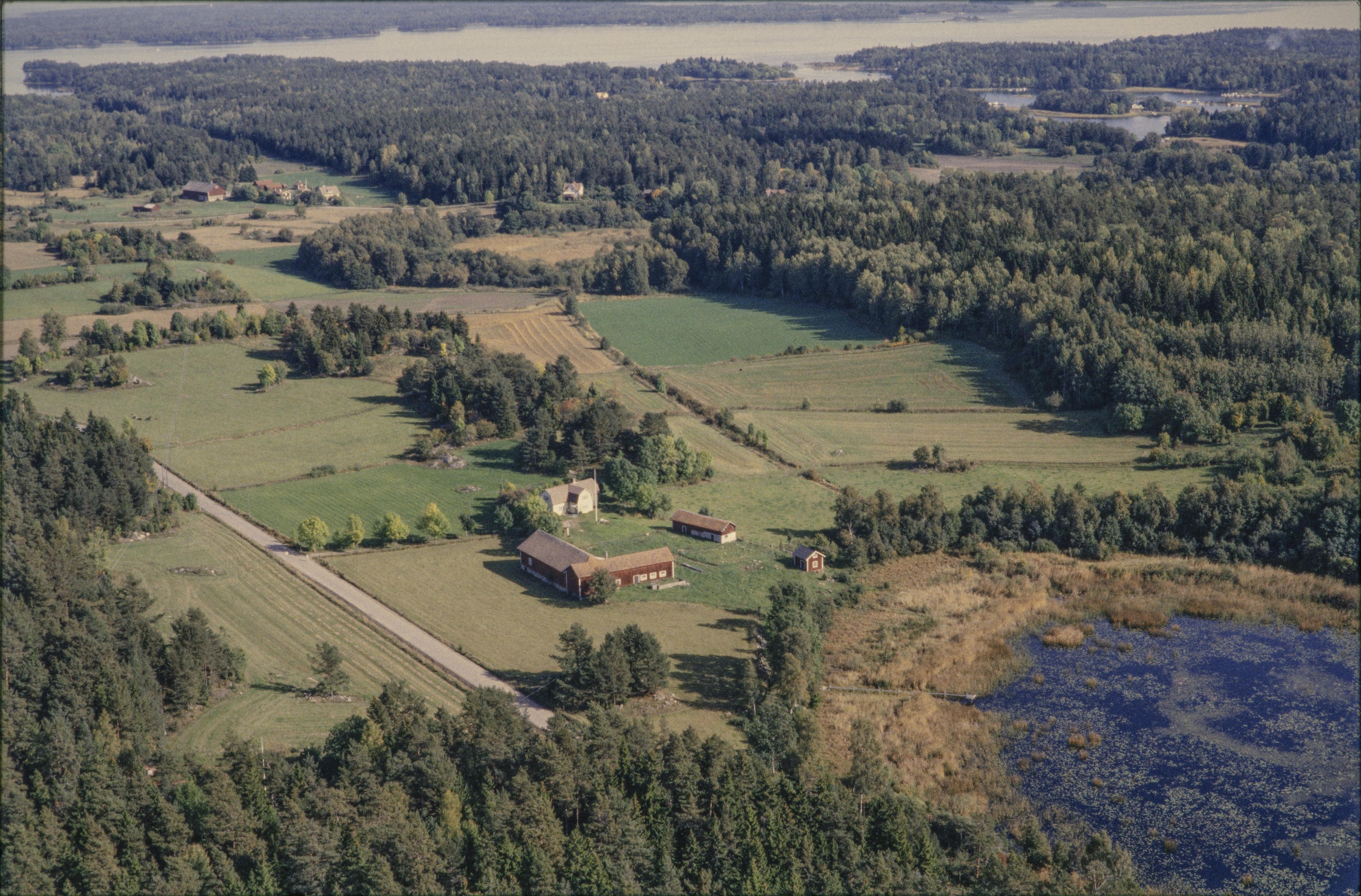 Jan Norrman, Buskgärde