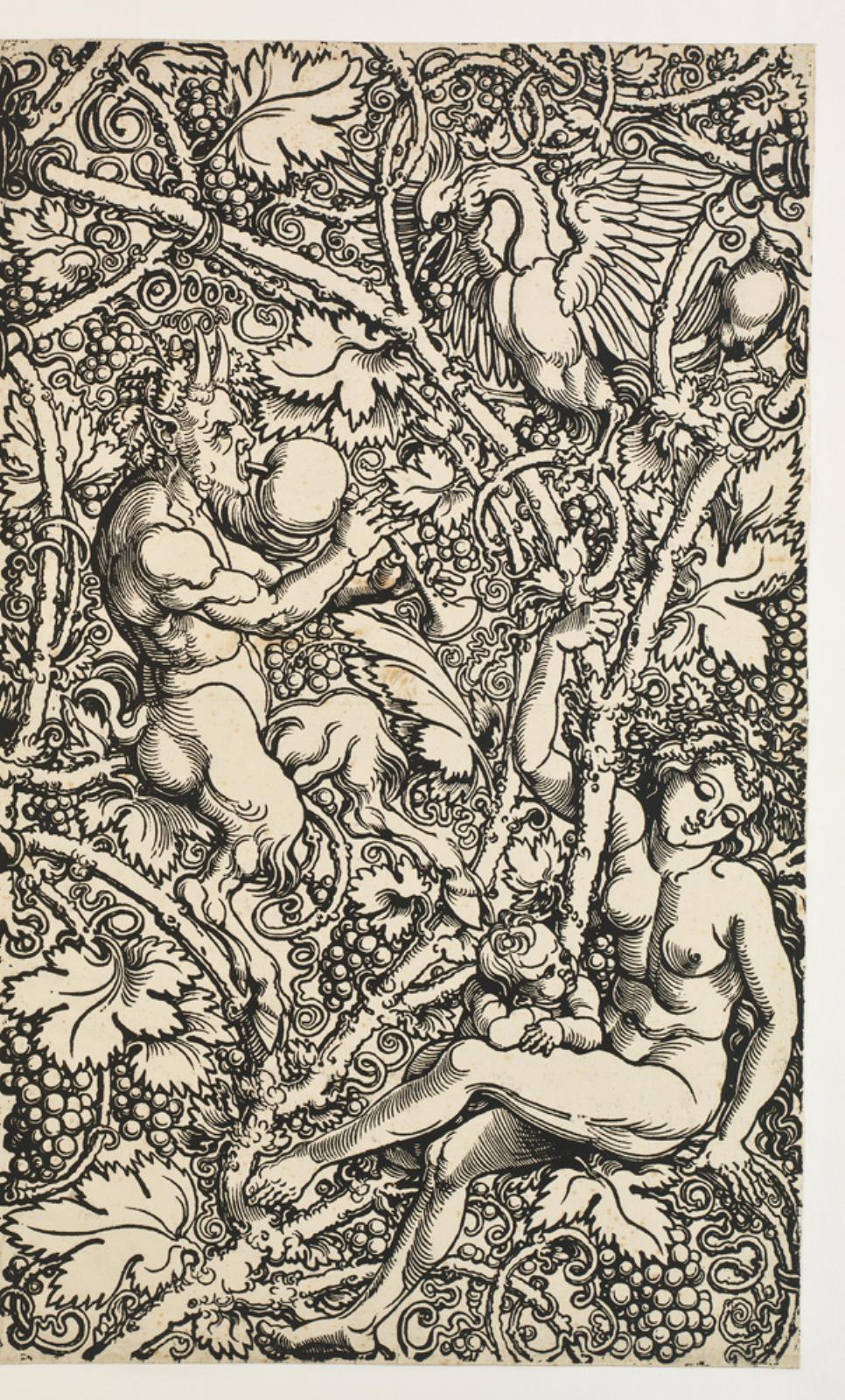 Albrecht Dürer, Højre del af tapetmodel med vinløv, to satyrer, to kvinder, to børn og to fugle