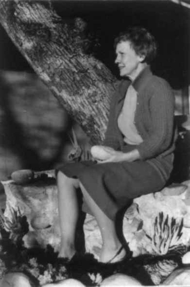 Virginia Raymond Davidson, En kvinne sitter ved et tre. Samisk utstilling i California 1963.