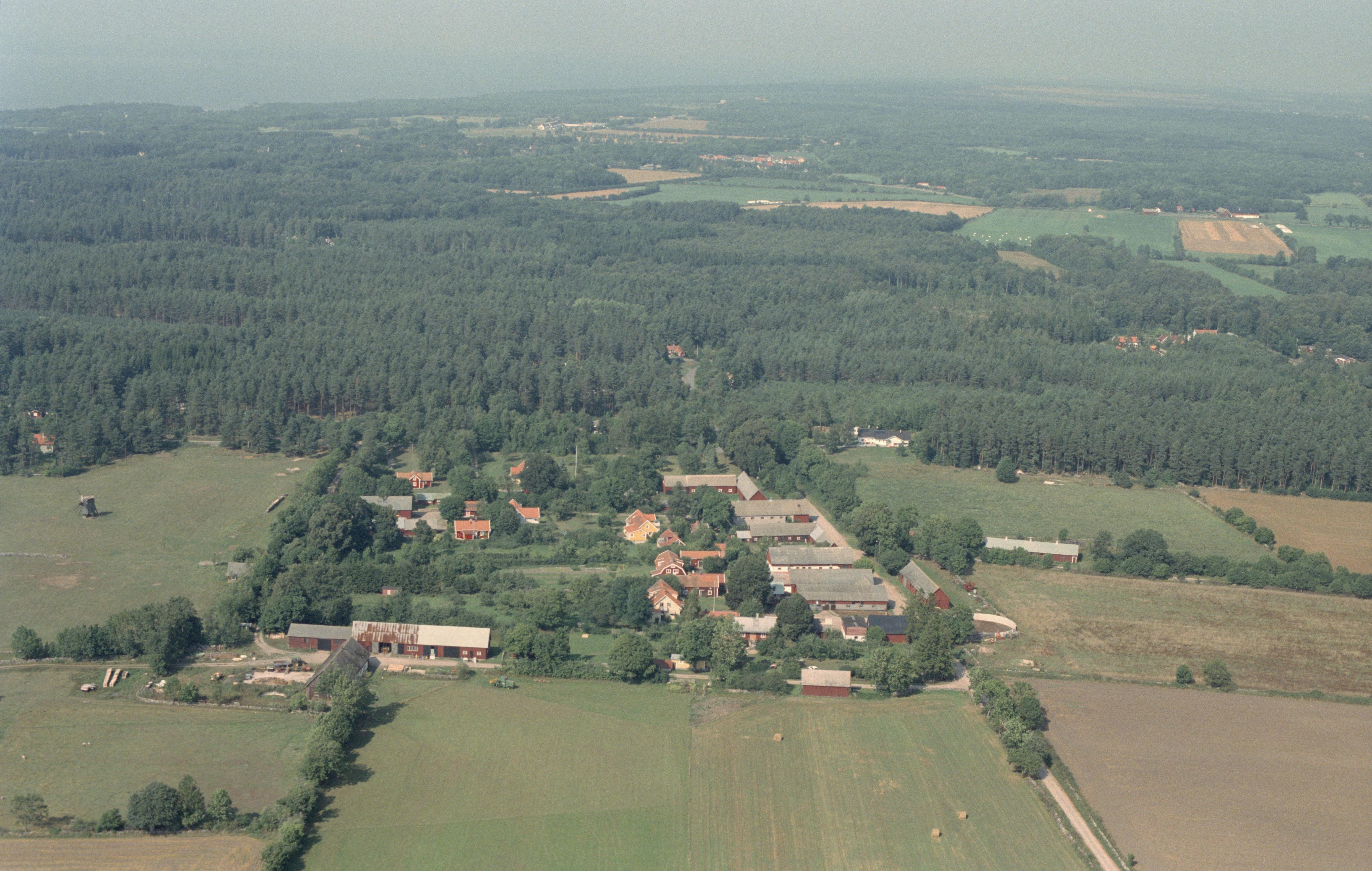 Jan Norrman, Högsrum 56:1-2