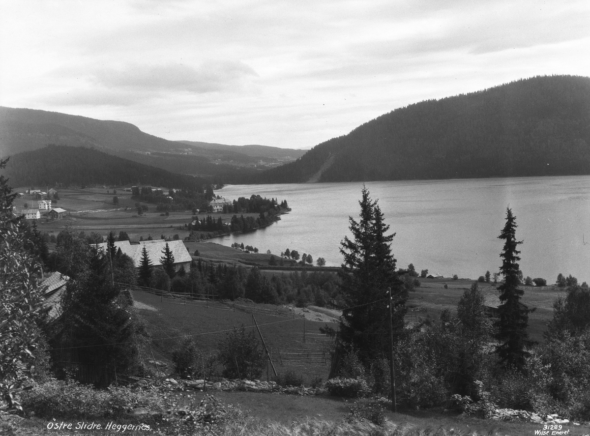 Anders Beer Wilse, Prot: Valdres, Østre Slidre, ved Heggenes