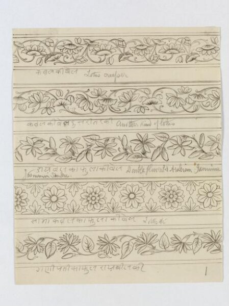 Unknown, Drawing