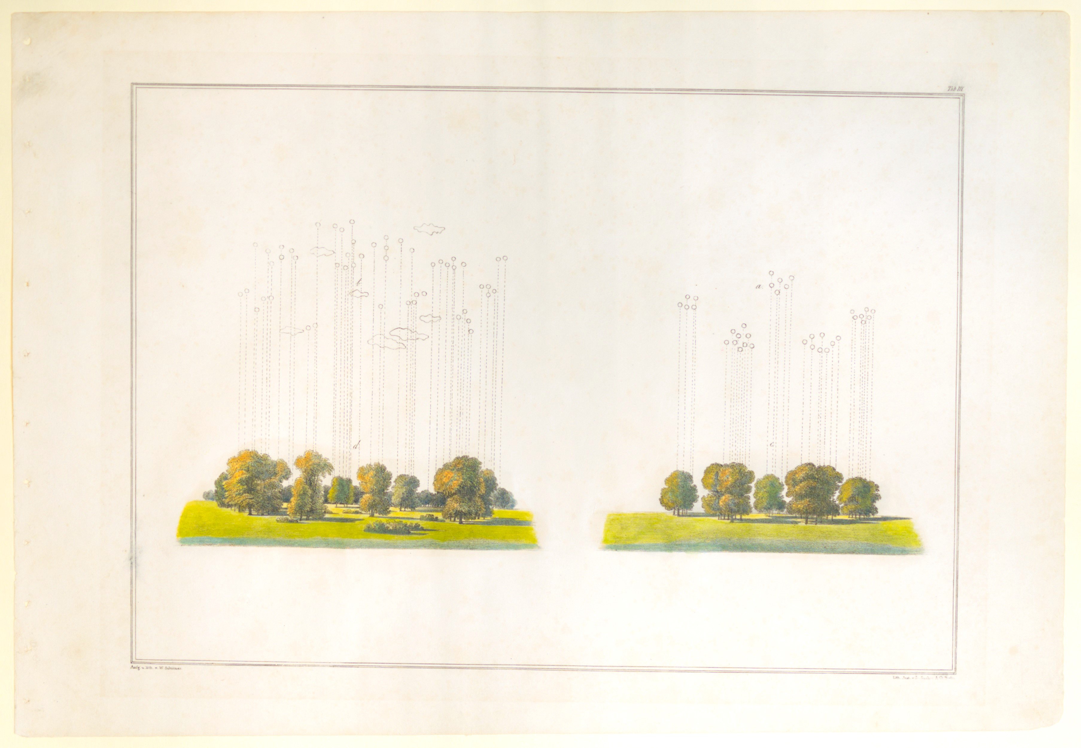 August Wilhelm Schirmer, Natürlich/Gezwungen gepflanzte Baumgruppe, Tafel III der "Andeutungen über Landschaftsgärtnerei"