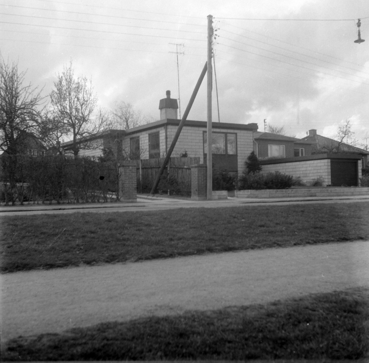 Adolf Skjegstad, ASK-04584