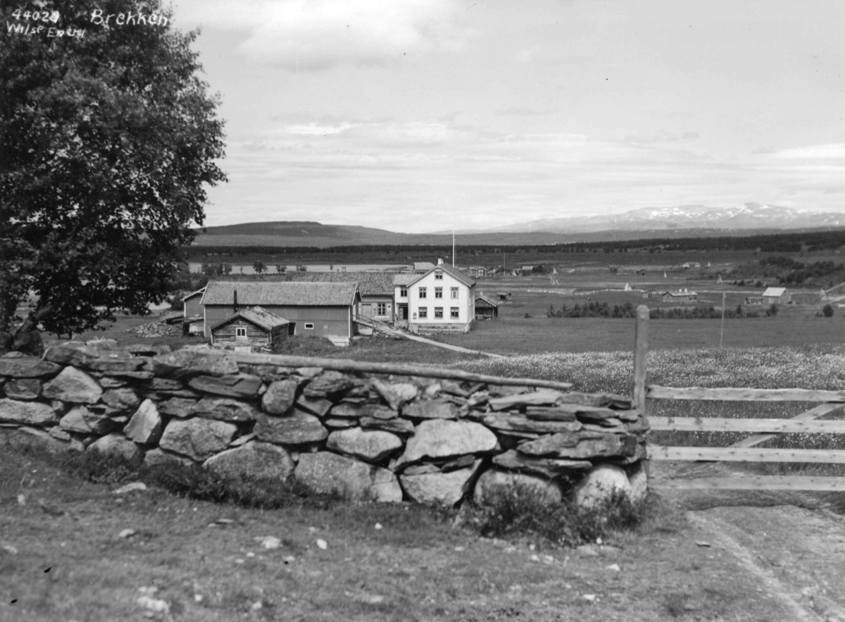 Anders Beer Wilse, Topografi