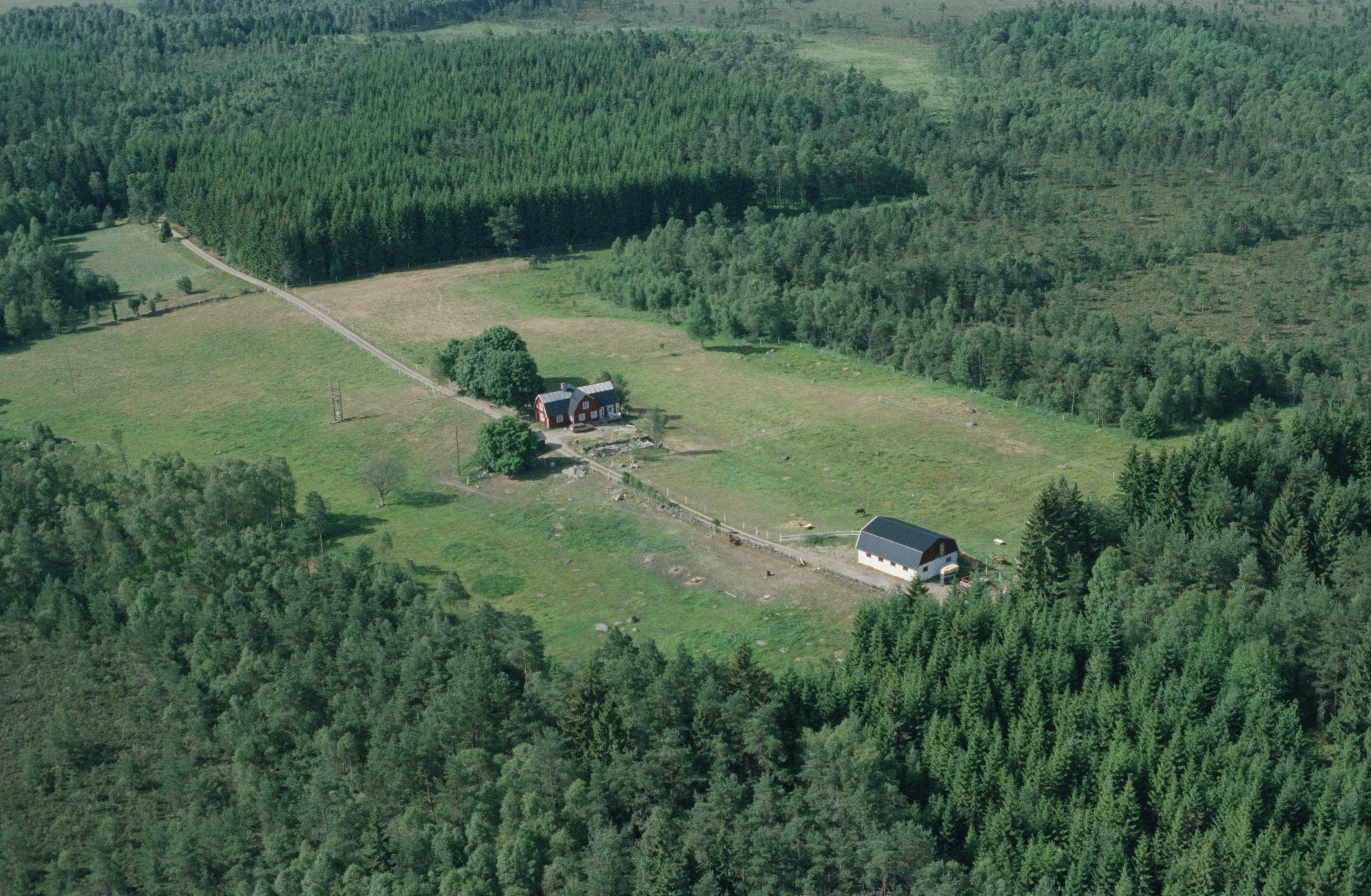 Jan Norrman, Kullarna
