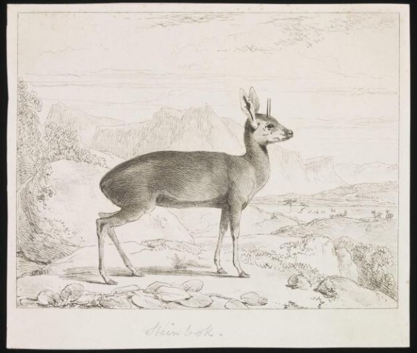 Unknown, Print