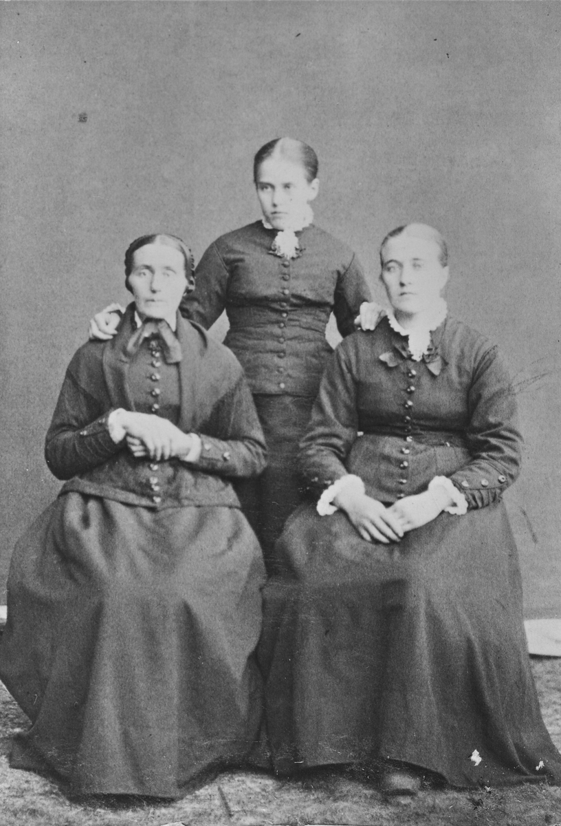 Ukjent, Portrett av tre kvinner - Gudalug Nestebymoen (født 1835), Sigrid Randmæl (født 1860), ukjent