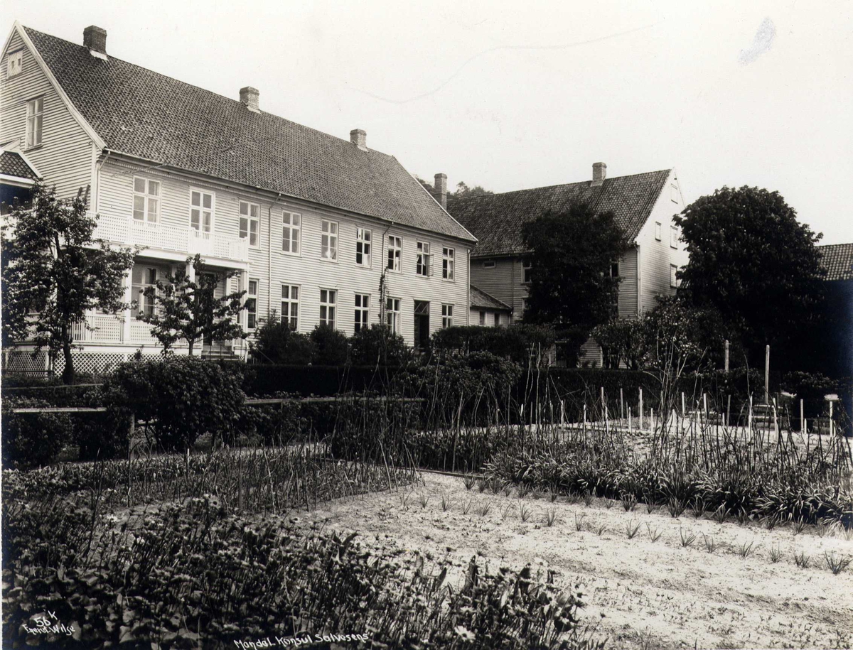 Anders Beer Wilse, Andorsengården sett fra hagen, Mandal, Vest-Agder. Fotografert 1912.