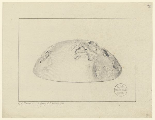 M Houtman, Skull; Pathology, fractures