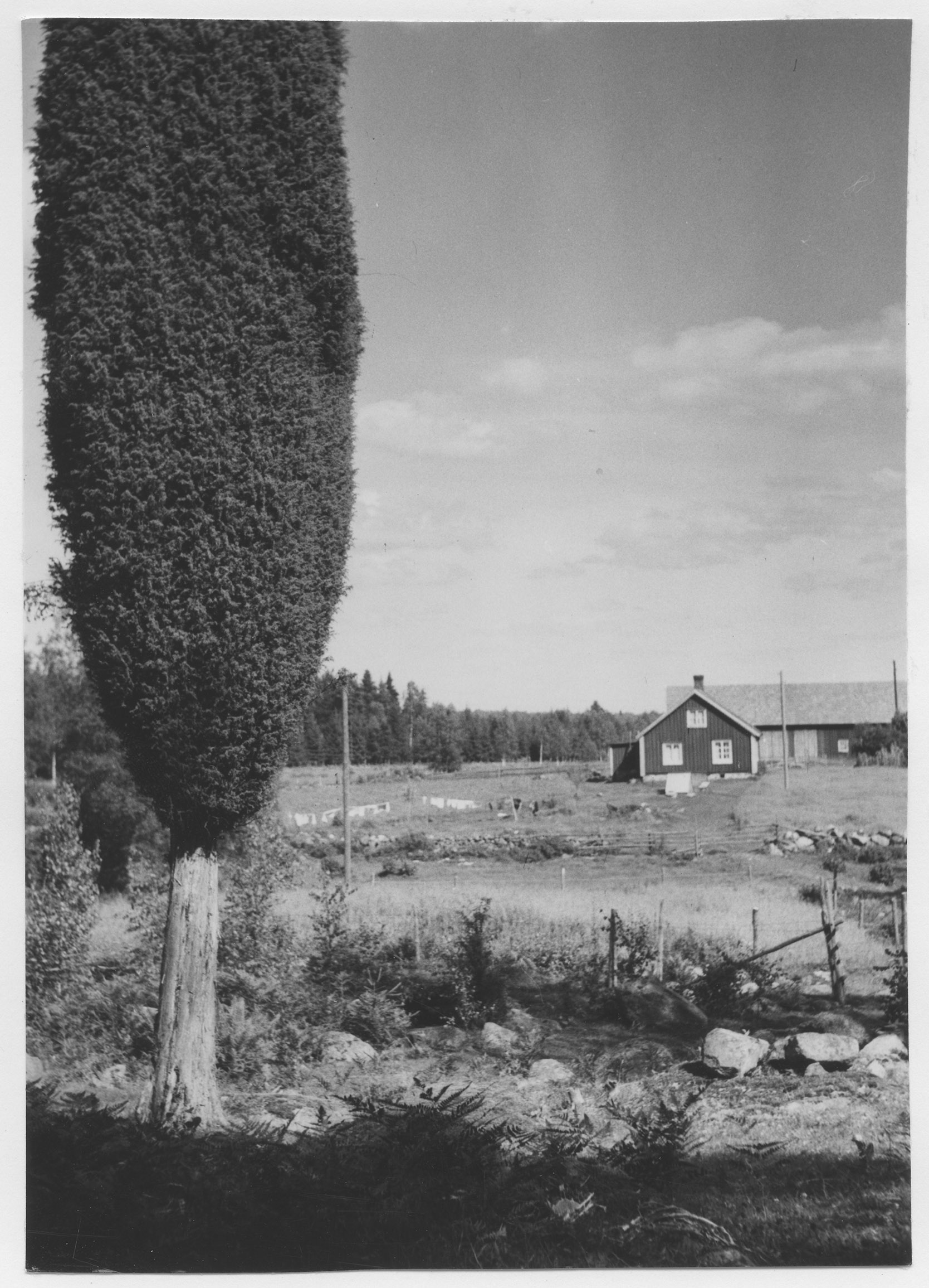 Mårten Sjöbeck, Törnabygd