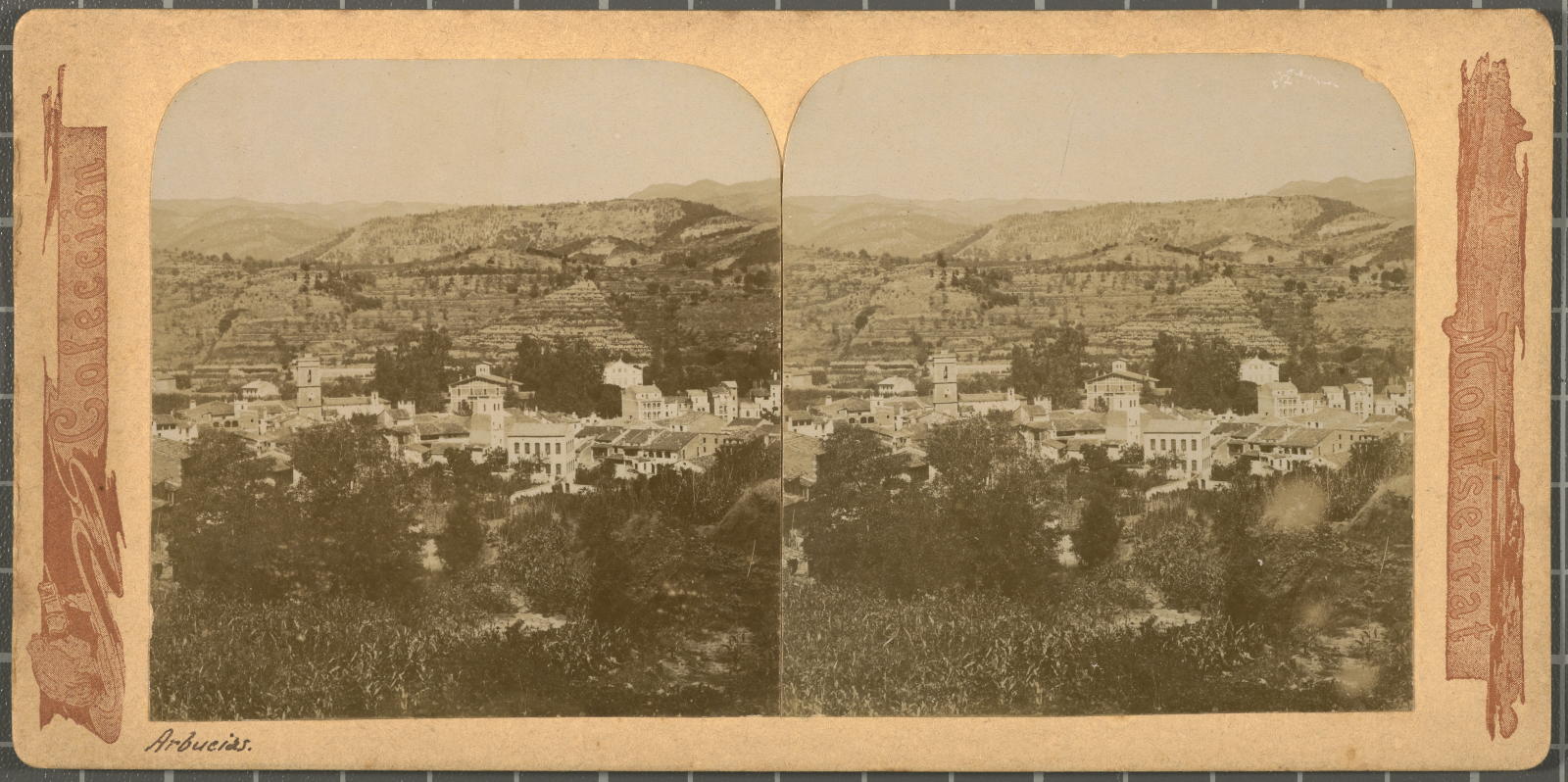 Desconegut, Arbucias