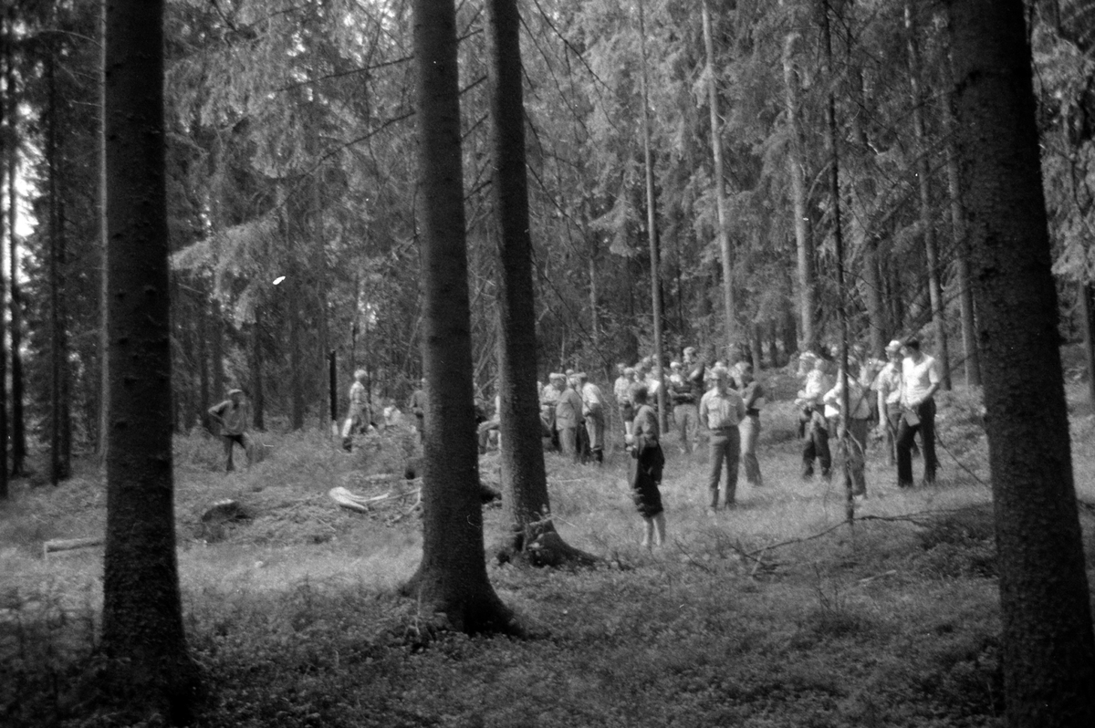 Adolf Skjegstad, ASK-02008