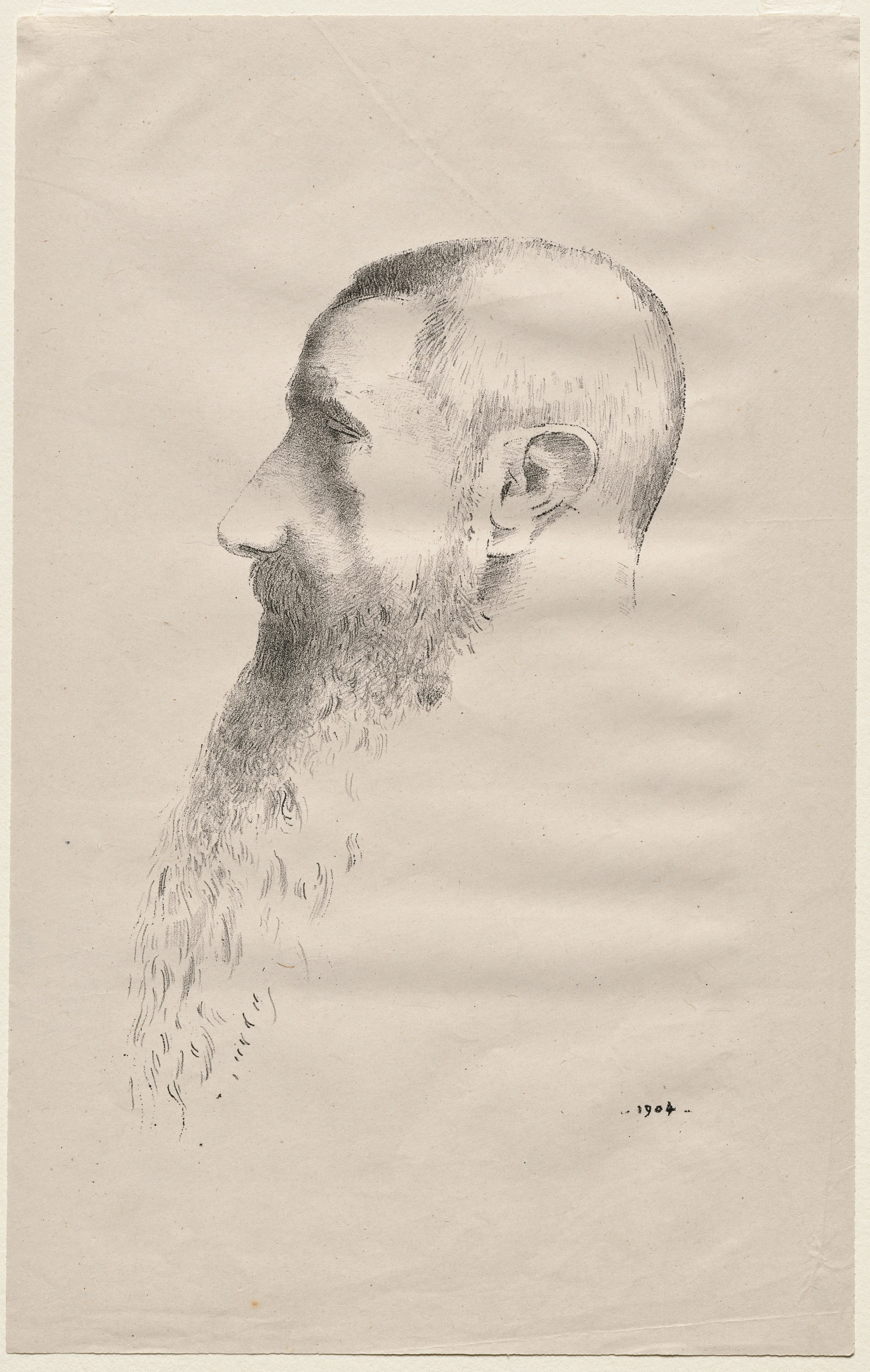 Odilon Redon, Roger Marx