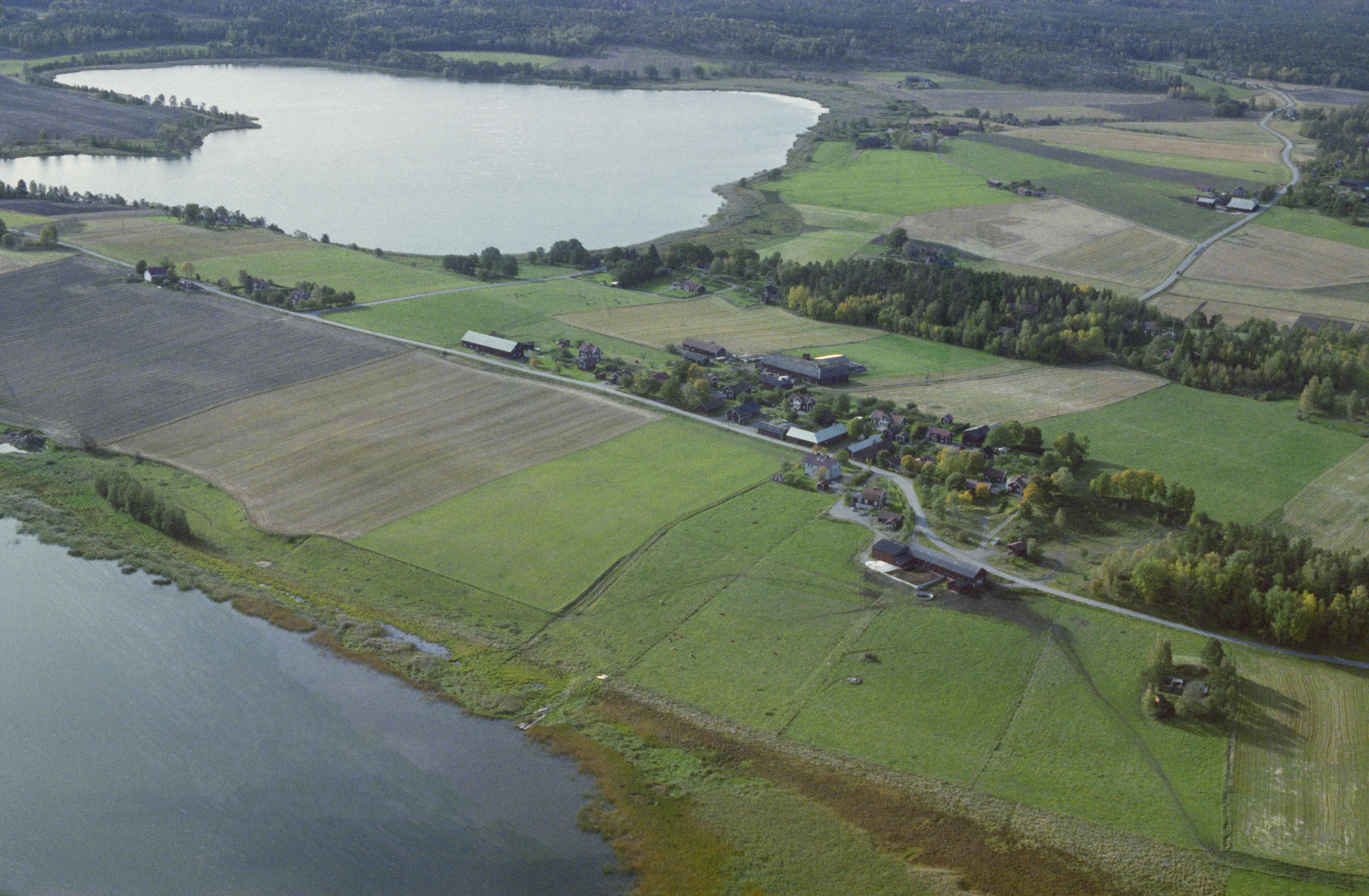 Jan Norrman, Gåsinge-Dillnäs 384:1
