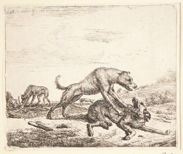 Adriaen van de Velde, Hunde i slagsmål