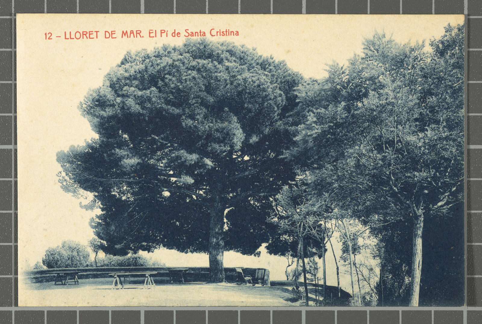 Desconegut, 12 - Lloret de Mar. El Pí de Santa Cristina