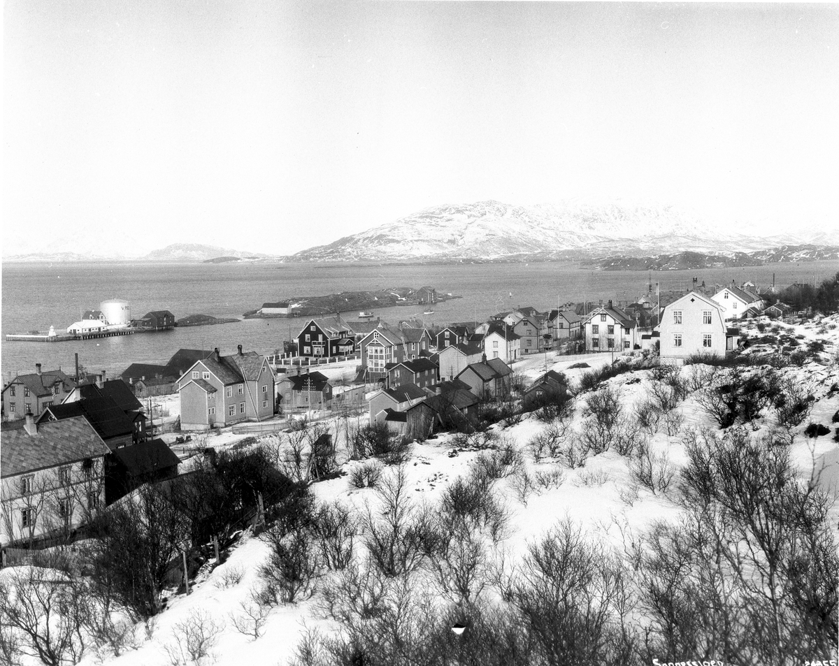 Anders Beer Wilse, Prot: Sannessjøen