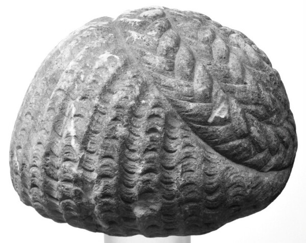 Unknown, Wig from a Portrait of a Roman Lady