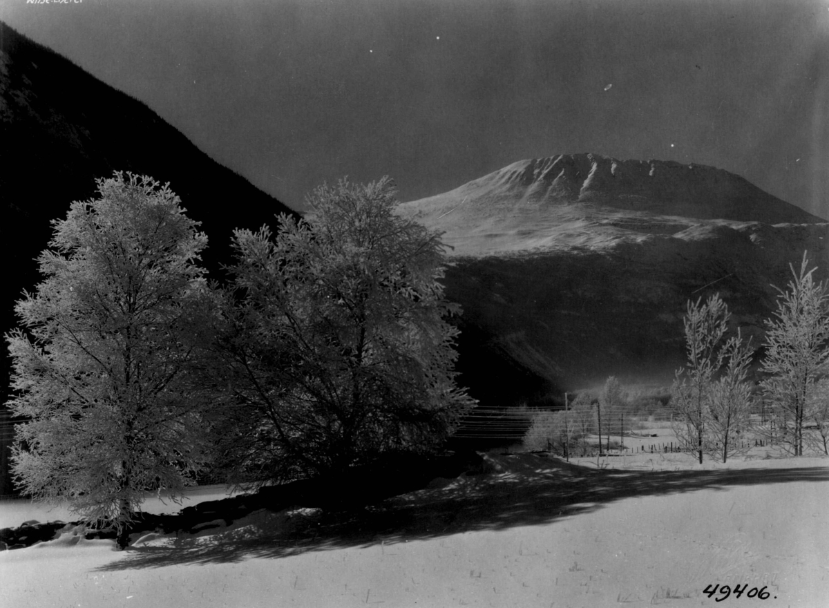 Anders Beer Wilse, Vinter, sno, Gaustatoppen, Vestfjorddalen.