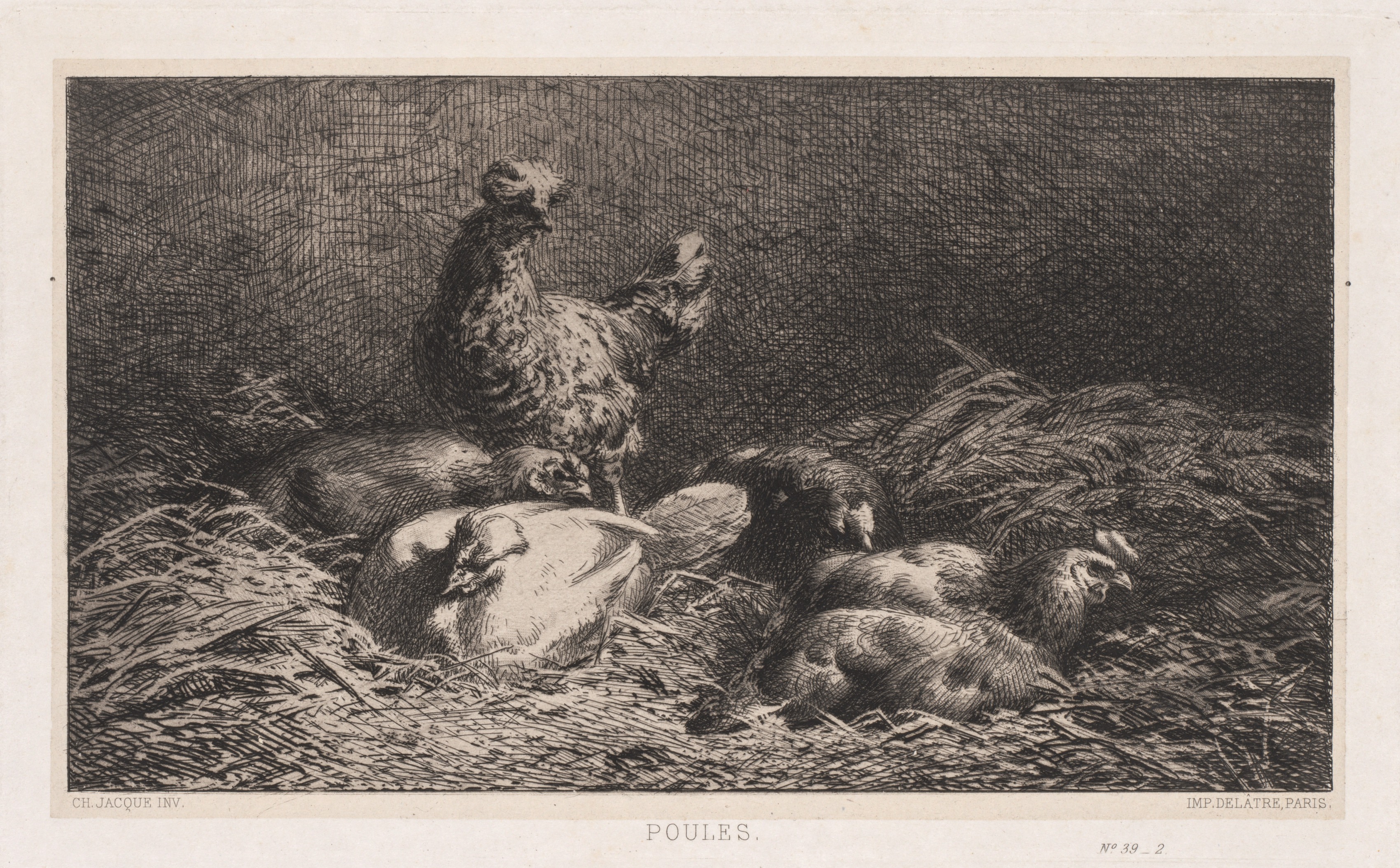 Charles-Émile Jacque, Chickens