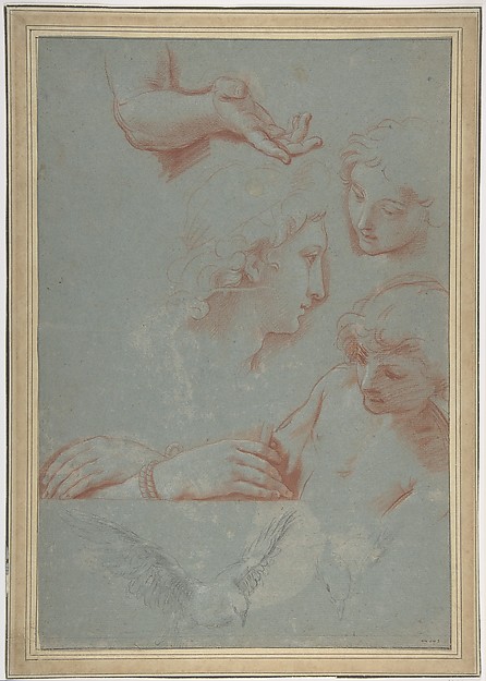 Luigi Garzi, Sheet of Studies: Heads, Hands, and Doves