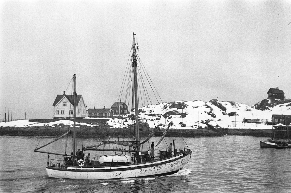 Anders Beer Wilse, Prot: Redningssköite